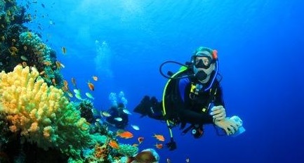 غواصی در کیش